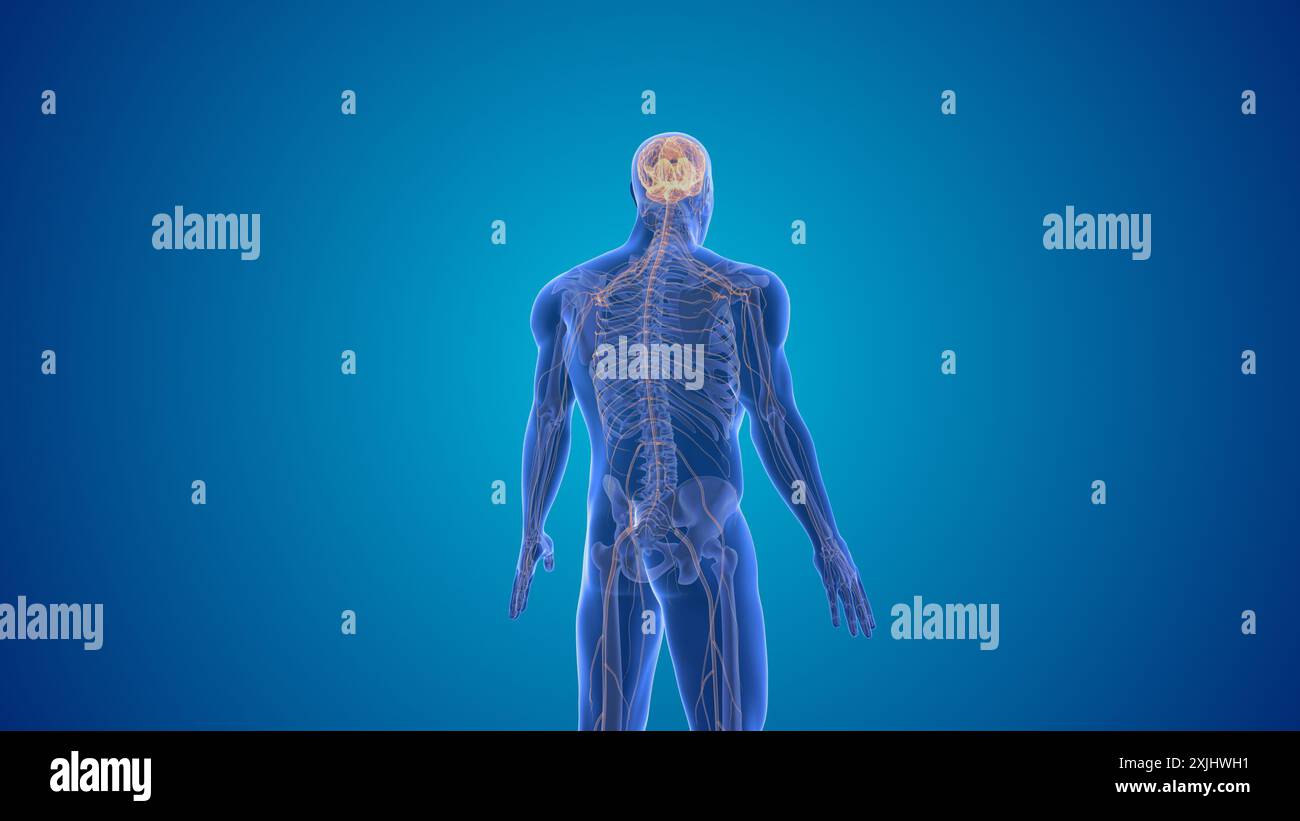 Zentralnervöse Symptome des Morbus Parkinson Stockfoto