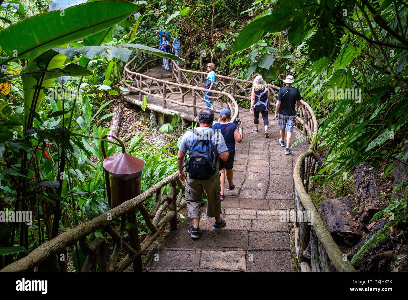 Puntarenas, Costa Rica - 23. März 2019: Touristen erkunden das üppige Monteverde Cloud Forest Reserve auf einer geführten Naturwanderung. Stockfoto