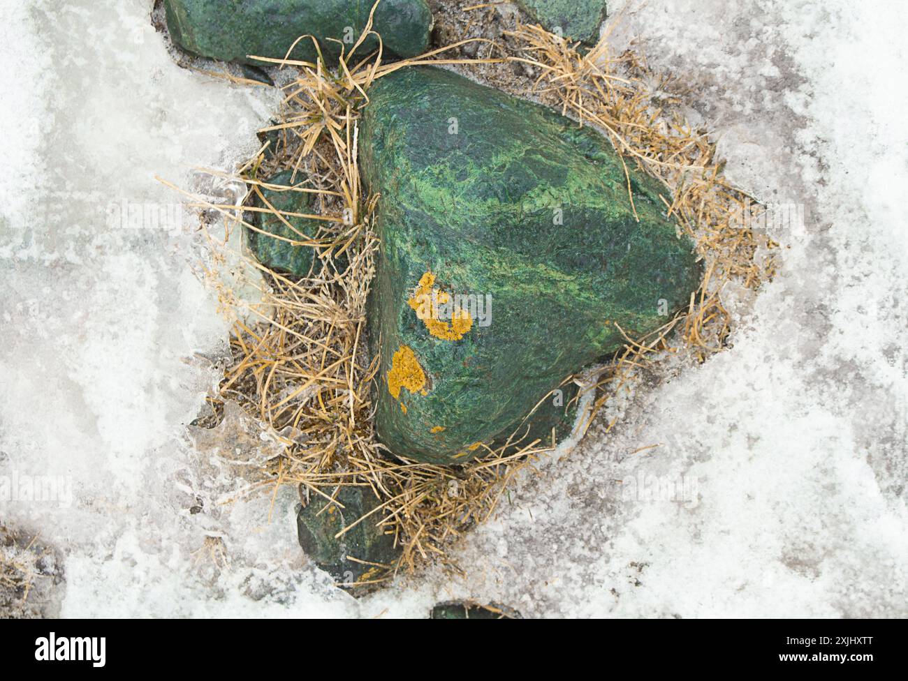 Großer grüner Onyxstein mit Flechten in Schnee und Gras. Natürlicher Podiumhintergrund für Produktvorführungen. Natur Stockfoto