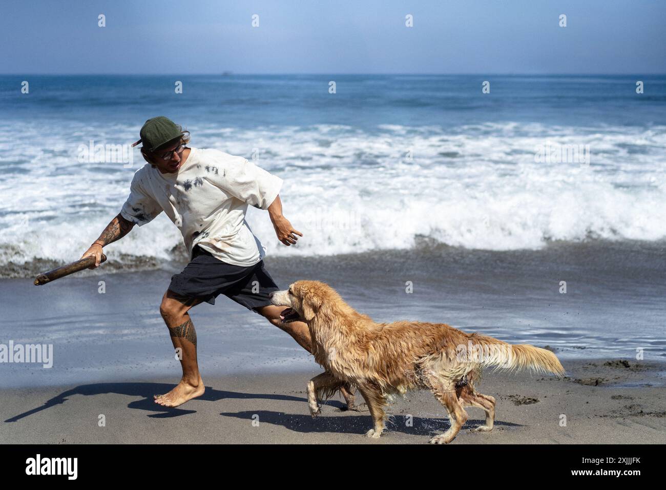 Mann spielt am Strand mit Retriever-Hund, sie rennen und täuschen herum. Stockfoto