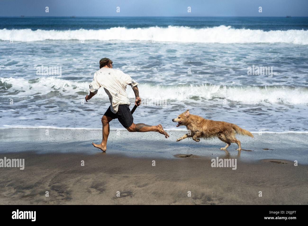 Mann spielt am Strand mit Retriever-Hund, rennt und täuscht herum. Stockfoto
