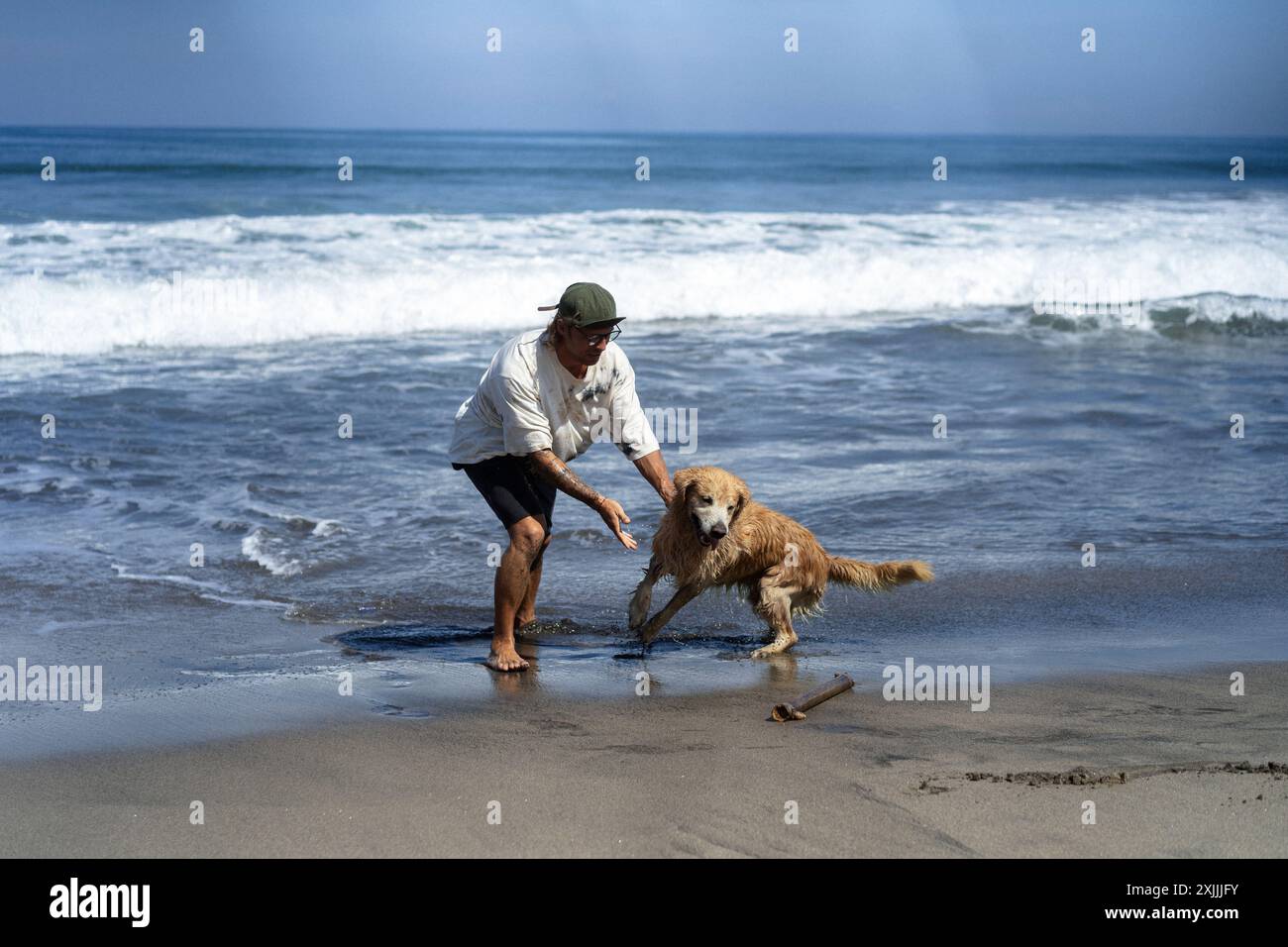 Mann spielt am Strand mit Retriever-Hund, sie rennen und täuschen herum. Stockfoto