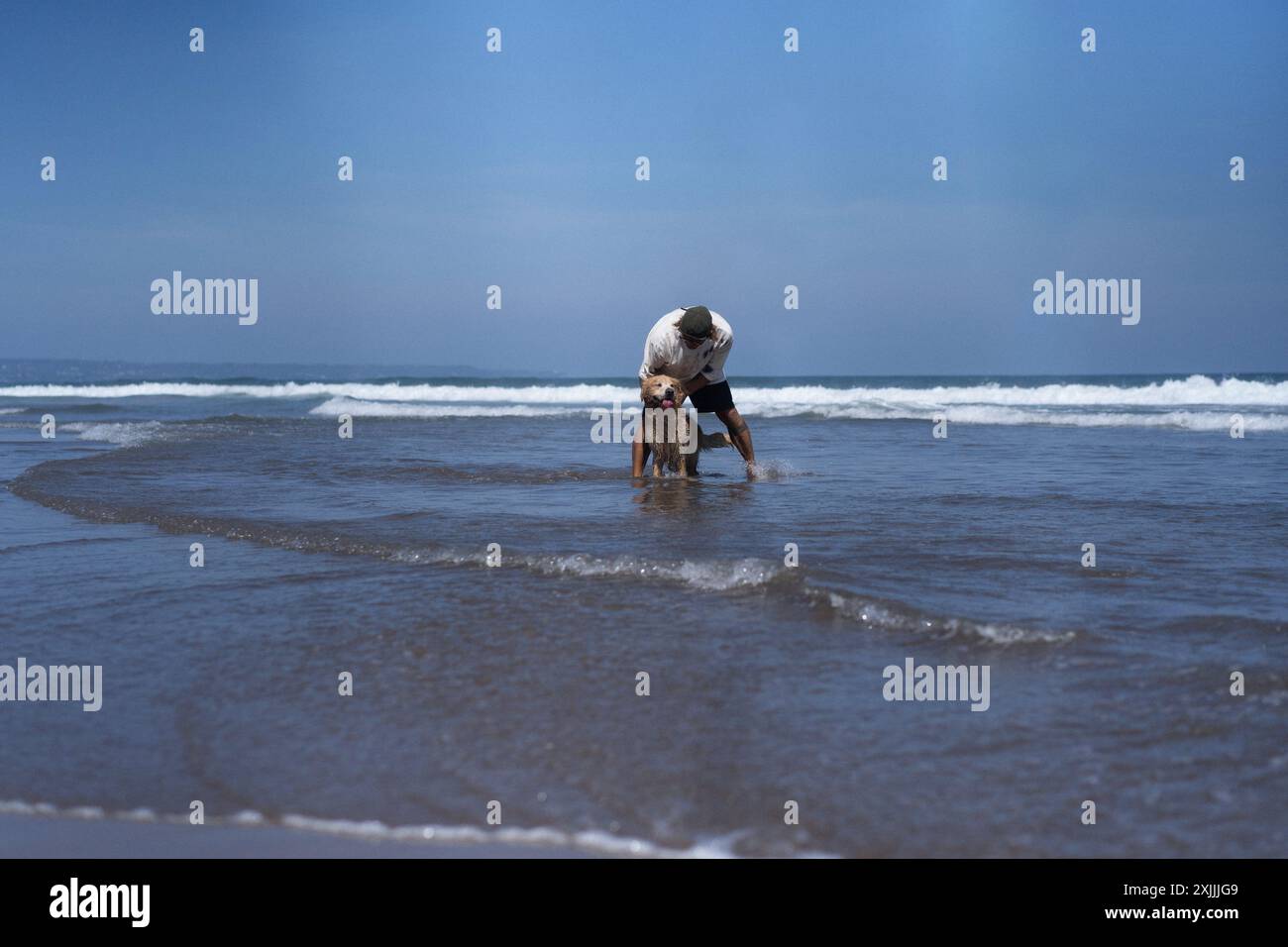 Mann spielt am Strand mit Retriever-Hund, sie rennen und täuschen herum. Stockfoto