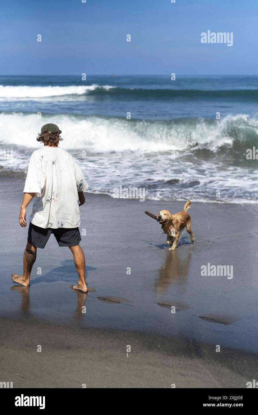 Mann spielt am Strand mit Retriever-Hund, rennt und täuscht herum. Stockfoto