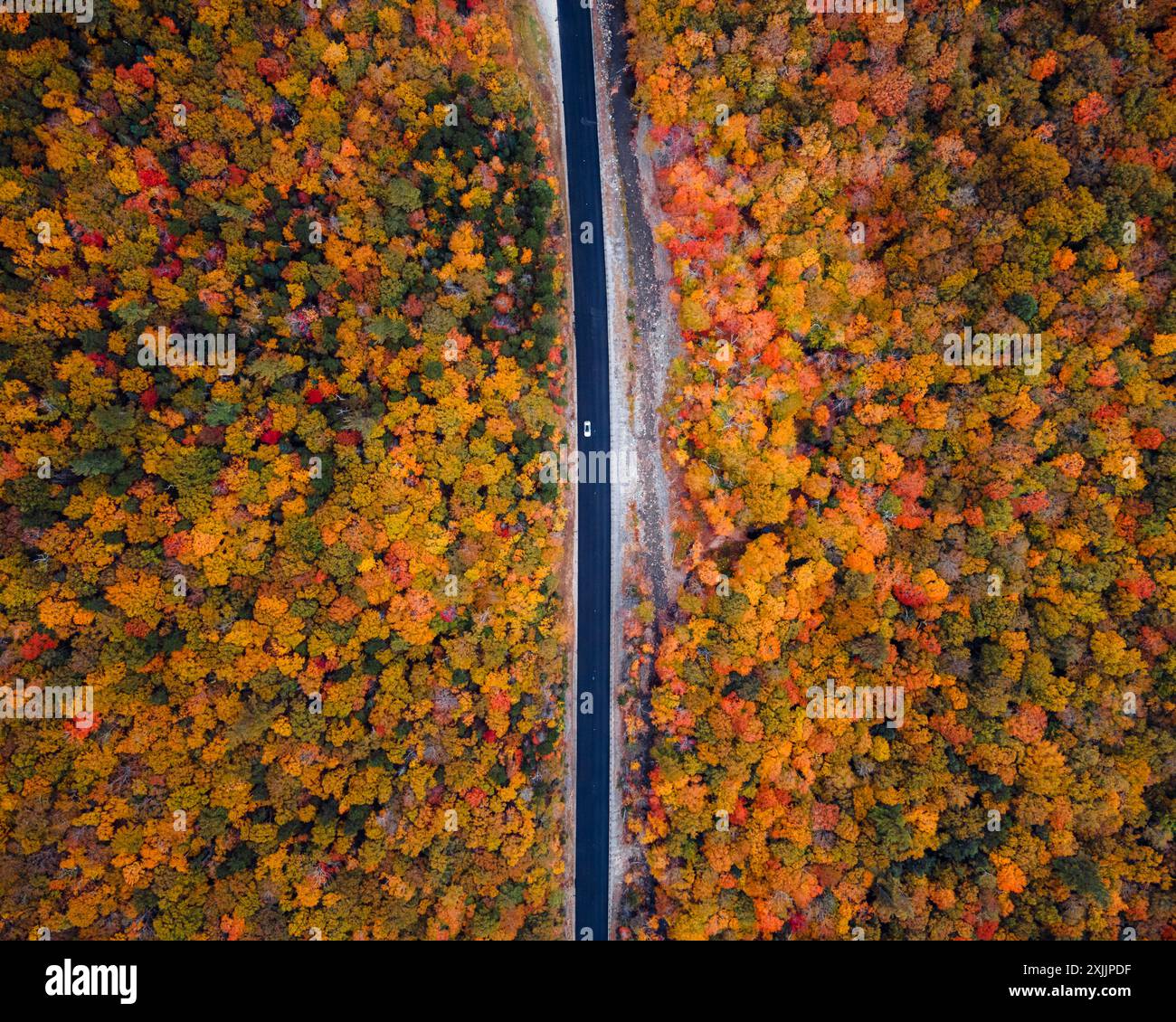 Ein Auto fährt eine Straße entlang, umgeben von Herbstfarben in den Bergen Stockfoto