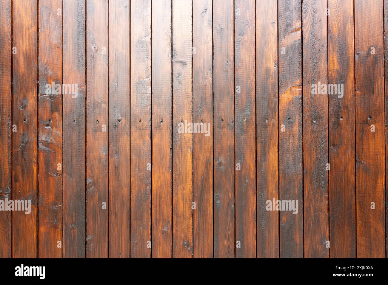 Großaufnahme der Holzwand mit Feder- und Rillenplatte, mit Klarlack bemalt. Helle Himmelsreflexe im oberen Teil des Fotos. Stockfoto
