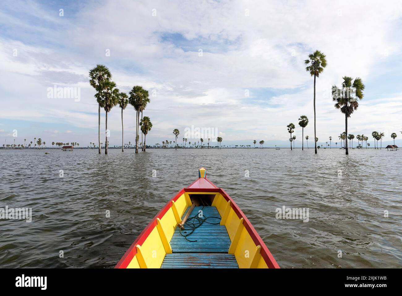 Traditionelles hölzernes farbenfrohes Boot, das zwischen Palmen mitten im Tempe-See im südöstlichen Teil der Insel Sulawesi in Indonesien fährt Stockfoto