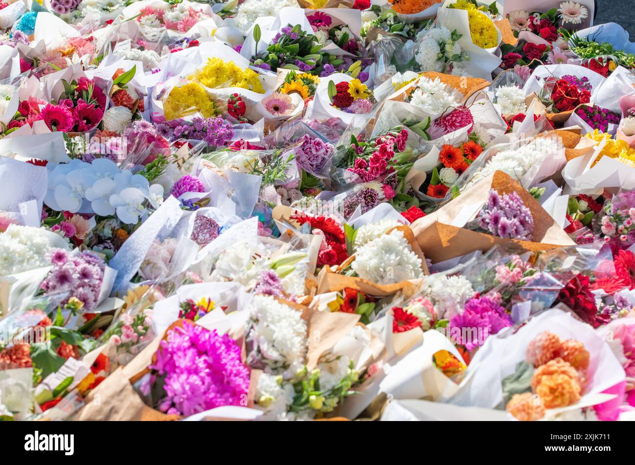 Bondi Junction Westfields Stechen Memorial Stockfoto