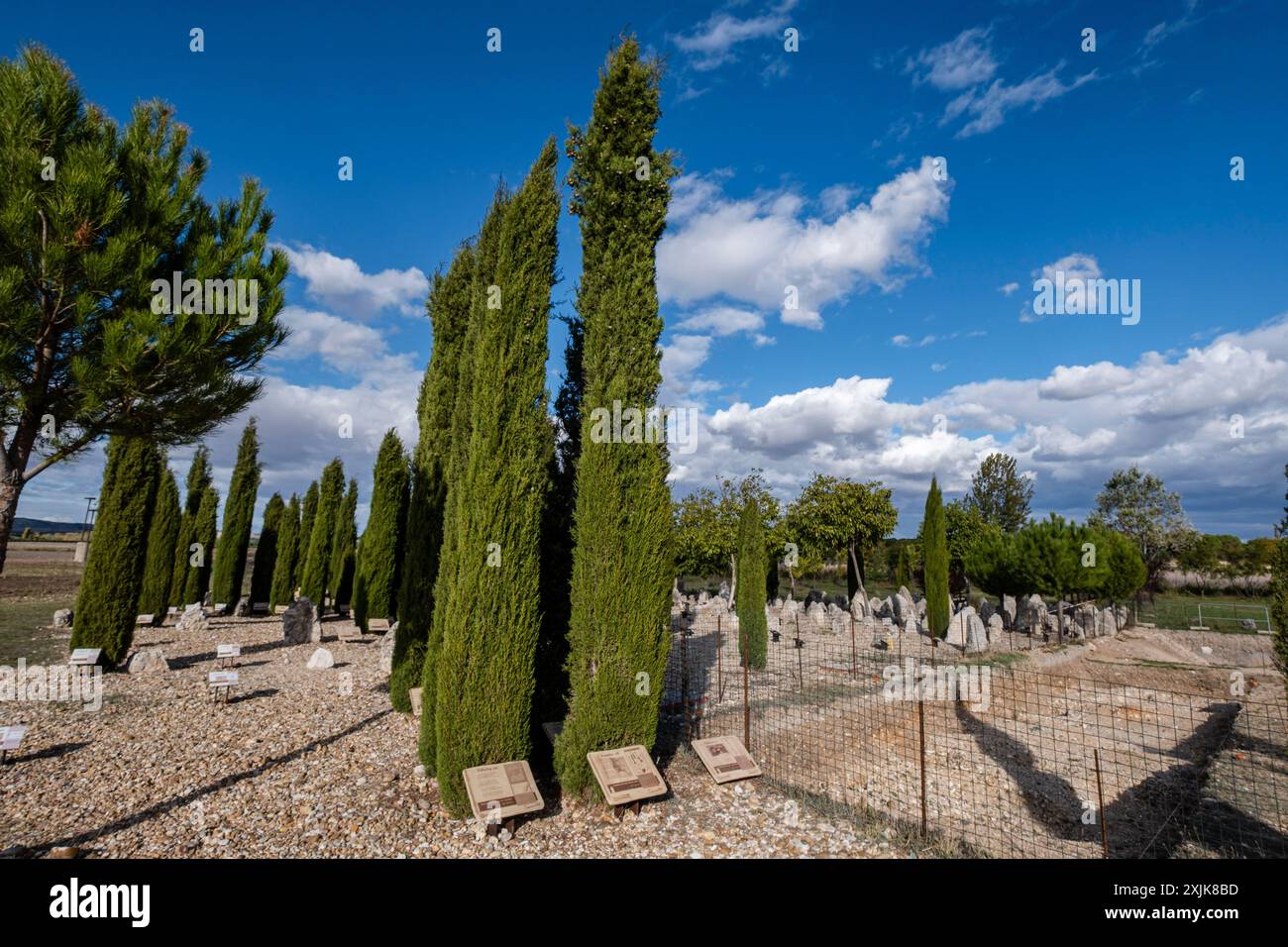Vacceos-Grabstele, Nekropole von „Las Ruedas“, antike Vaccea-Stadt Pintia, Padilla de Duero, Provinz Valladolid, Spanien Stockfoto