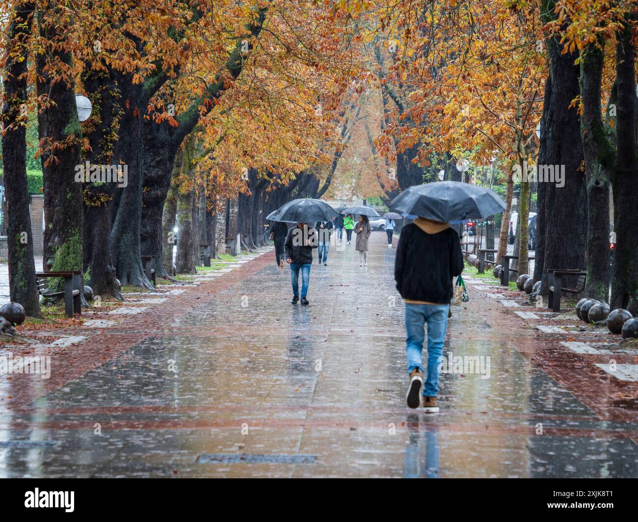 Fray Francisco de Vitoria Walk, Herbst im Regen, Vitoria, Baskenland, Spanien Stockfoto