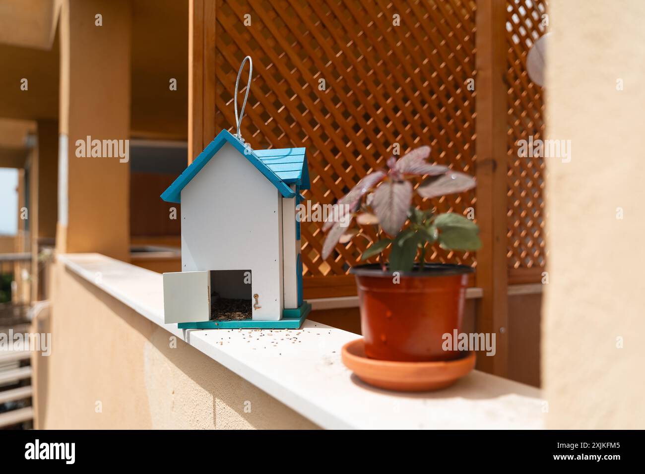 Ein kleines Vogelhaus und eine Topfpflanze sitzen auf einem sonnendurchfluteten Balkon mit Gitterzaun. Vogelbeobachtungs-Hobby, städtische Gartenarbeit für autarke Lebensbedingungen Stockfoto