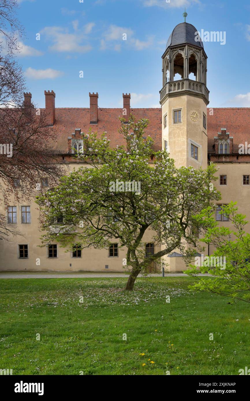 Martin-Luther-Haus, Innenhof, Luther-Stadt Wittenberg, Sachsen-Anhalt, Deutschland Stockfoto