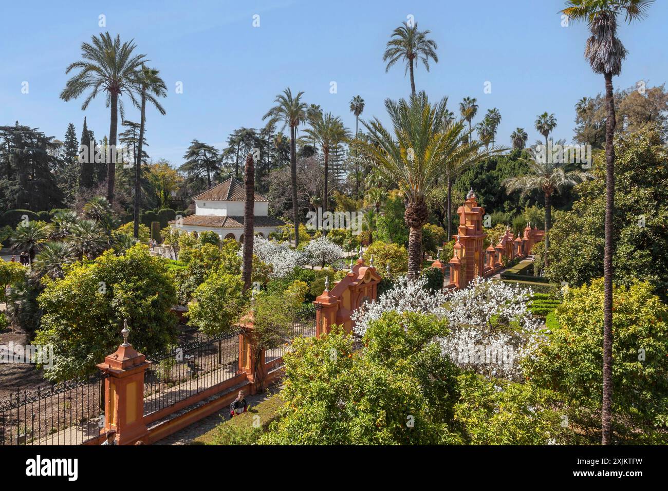 Jardines del Alcazar, Gärten mit Palmen im Alcazar, Königspalast von Sevilla, Sevilla, Spanien Stockfoto