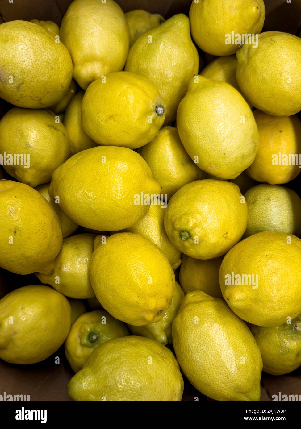 Zitronen (Citrus limon) ohne Verpackung lose Stücke im Schaufenster des Obsthandels Gemüseläden Lebensmittelladen Lebensmittelgeschäfte Supermarkt, Deutschland Stockfoto