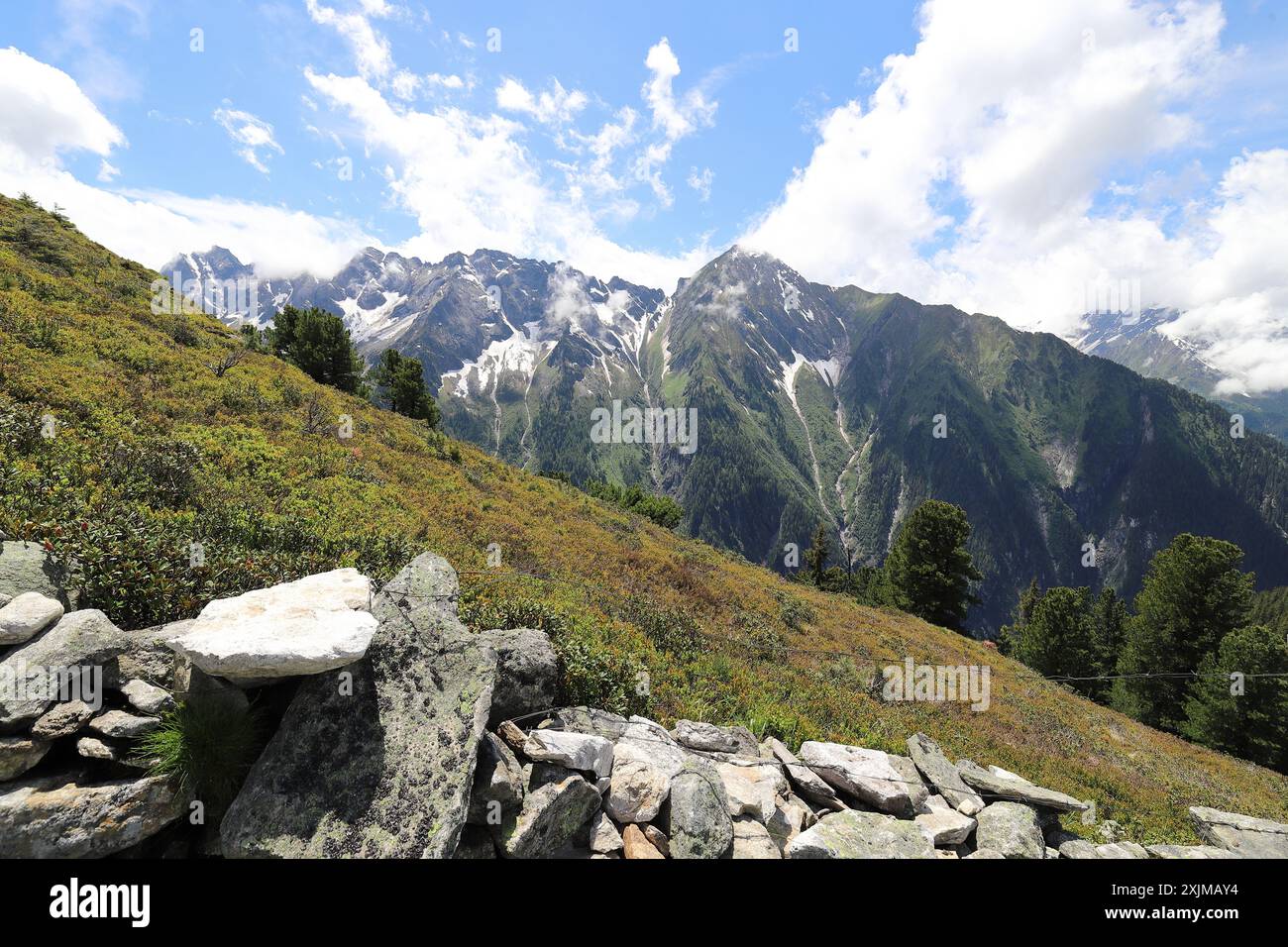 Blick von einem grün bewachsenen Berghang am Filzenkogel auf ein mächtiges Bergmassiv in den Zillertaler Alpen, Weitwinkelfelsen im Vordergrund Stockfoto