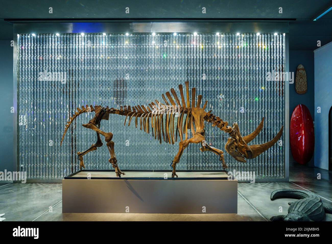 Vorhang von Swarovski-Kristallen und fossiles Skelett von sibirischen Wollnashörnern (Coelodonta antiquitatis), Sa Bassa Blanca Museum (msbb) Yannick Stockfoto