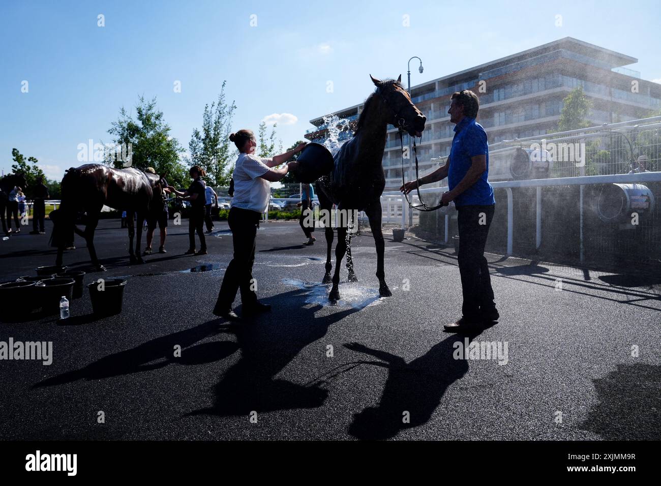 Ein Pferd wird mit Wasser und Fans gekühlt, nachdem der IRE-Incentive - Pay to Buy Irish Rose Bowl Stakes während des IRE Incentive Raceday auf der Newbury Racecourse stattfindet. Bilddatum: Freitag, 19. Juli 2024. Stockfoto