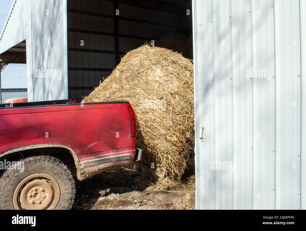 Ein roter, mit einem Ballenspeer ausgerüsteter Lkw wird verwendet, um Heuballen von der Scheune auf die Weide für das Vieh in Missouri zu transportieren. Stockfoto
