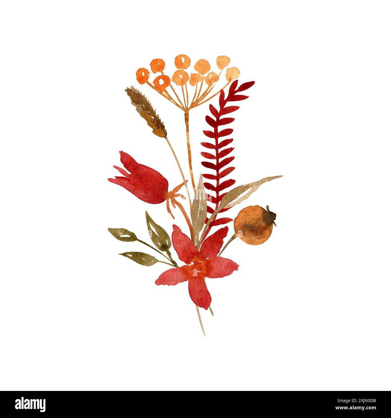 Aquarellfarbe Herbst getrocknete Blumen und Blätter Anordnung isoliert auf weißem Hintergrund. Handgezeichnete Blumenabbildung. Botanisches Clipart zur Begrüßung ca. Stockfoto