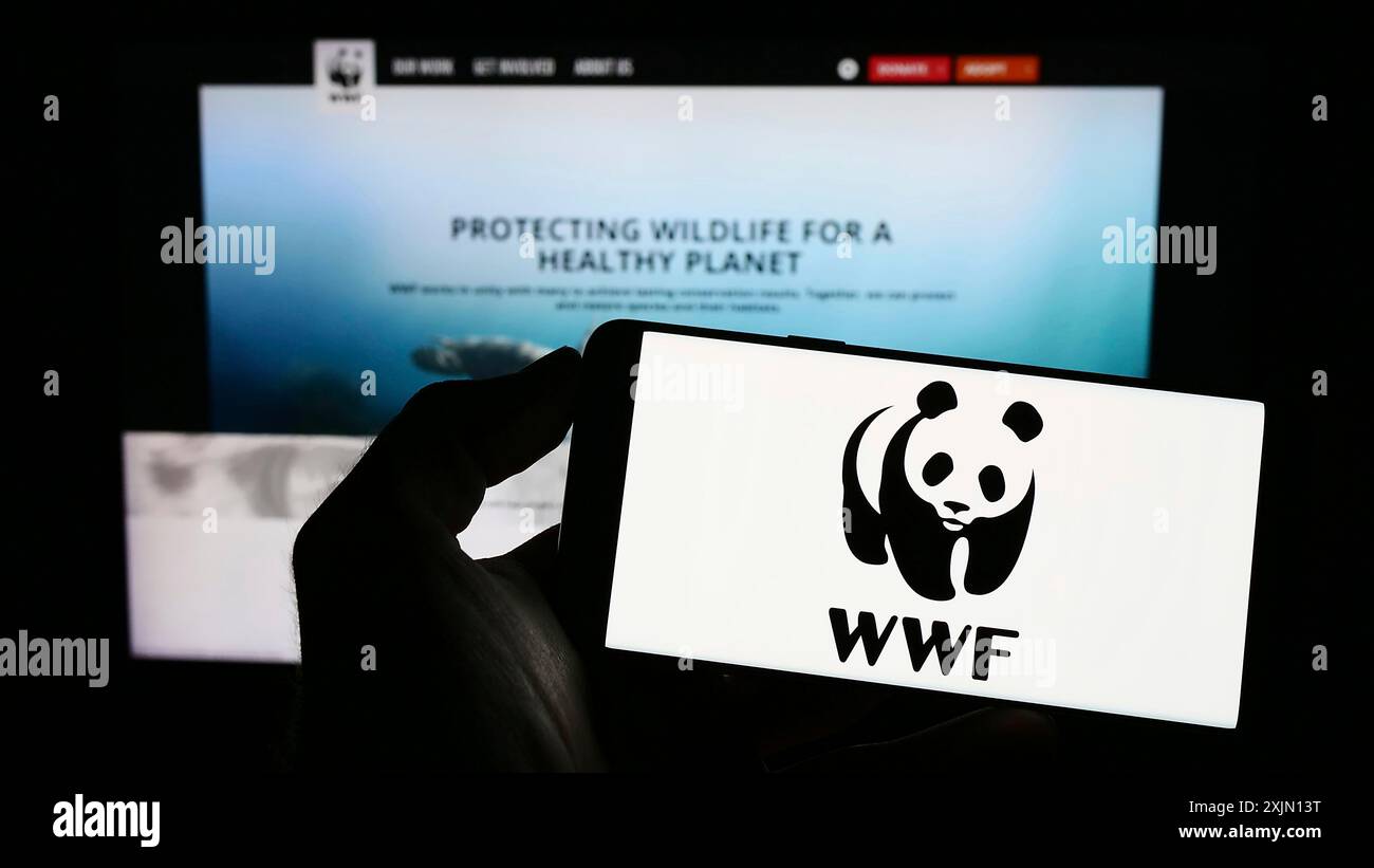 Stuttgart, Deutschland, 26. 01. 2023: Person mit Handy mit Logo des World Wide Fund for Nature Inc. (WWF) auf dem Bildschirm vor der Webseite. Konzentrieren Sie sich auf Stockfoto