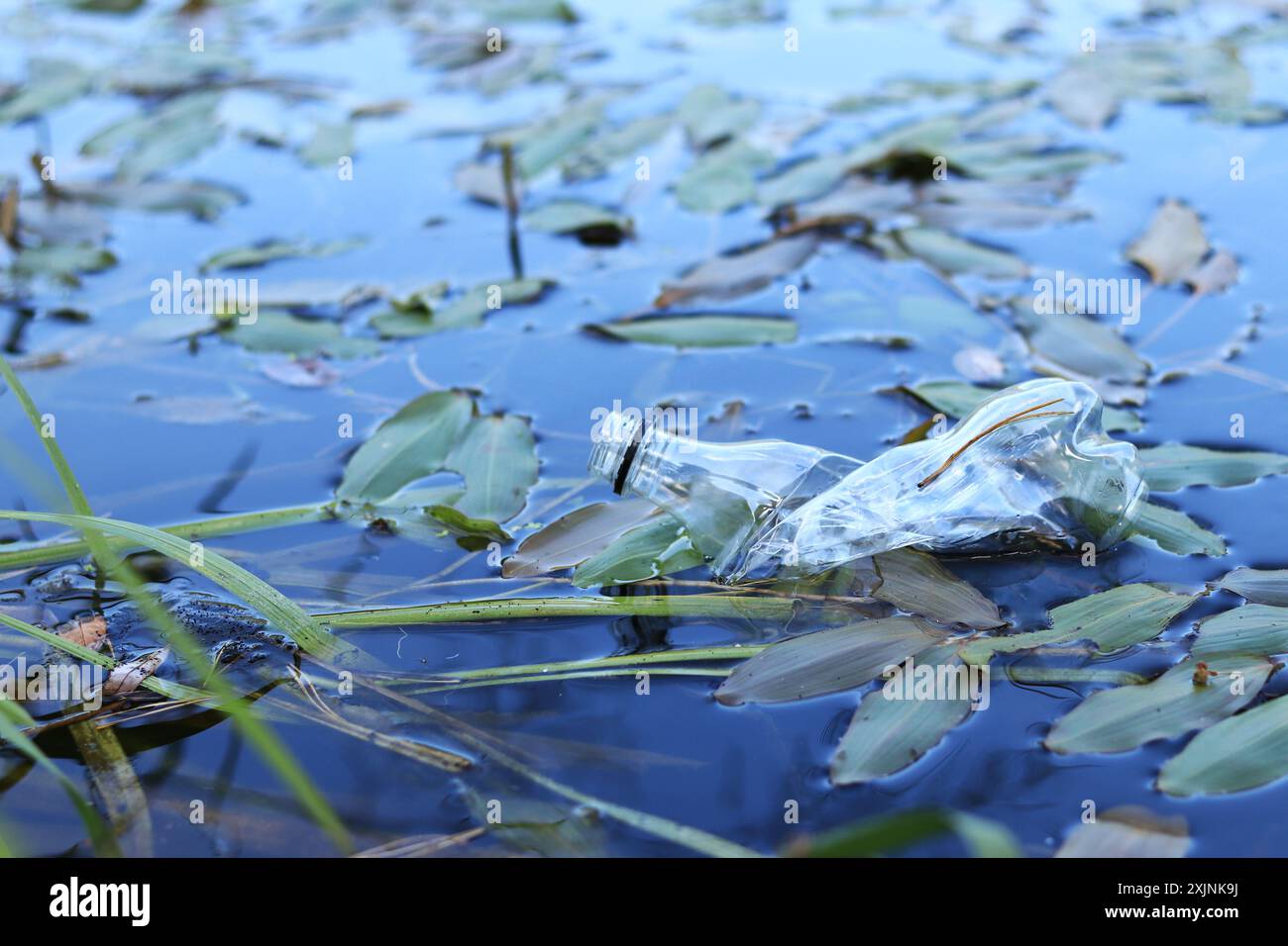 Plastikflasche in Wasser, See oder Fluss. Kunststoffverschmutzung. Verschmutzung von Stauseen und Flüssen. Müll im Fluss Nahaufnahme. Ein verlassener Flaschenfloa Stockfoto