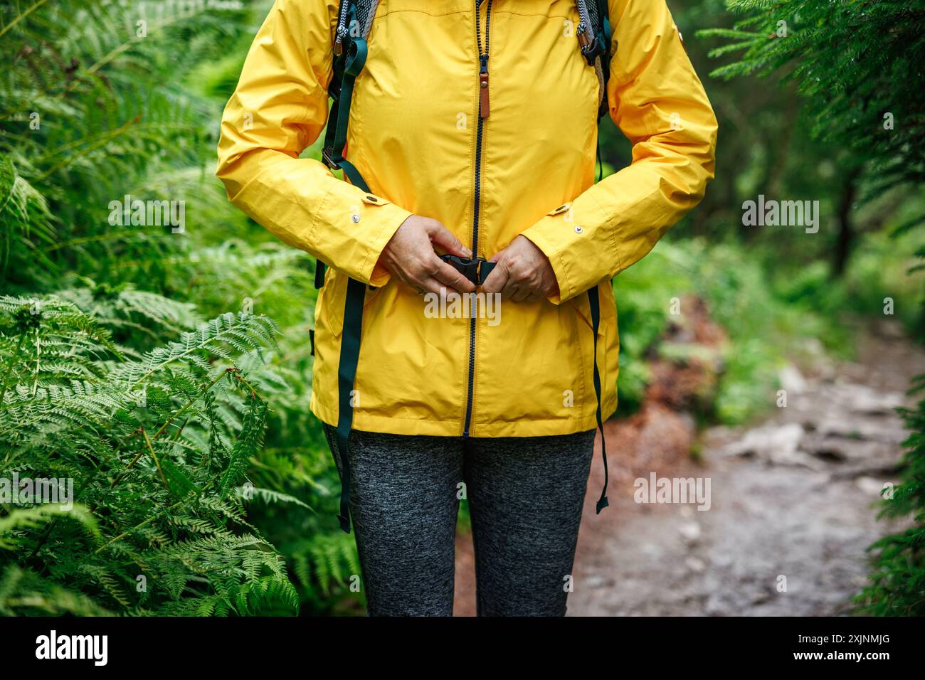 Wanderer-Frau schnallt am Rucksackriemen am Waldrundwanderweg. Wanderausrüstung Stockfoto