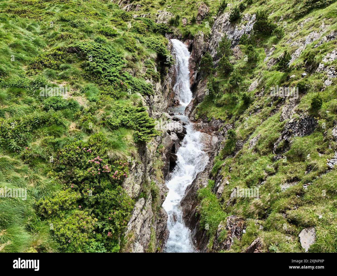 Wasserfall in den Pyrenäen in Frankreich im Sommer Stockfoto
