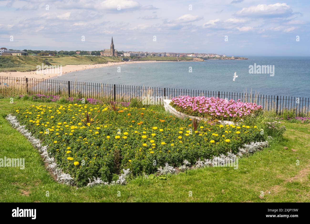 Eine Blumenausstellung über dem Strand von Tynemouth Longsands mit Blick auf Cullercoats, England, Großbritannien Stockfoto