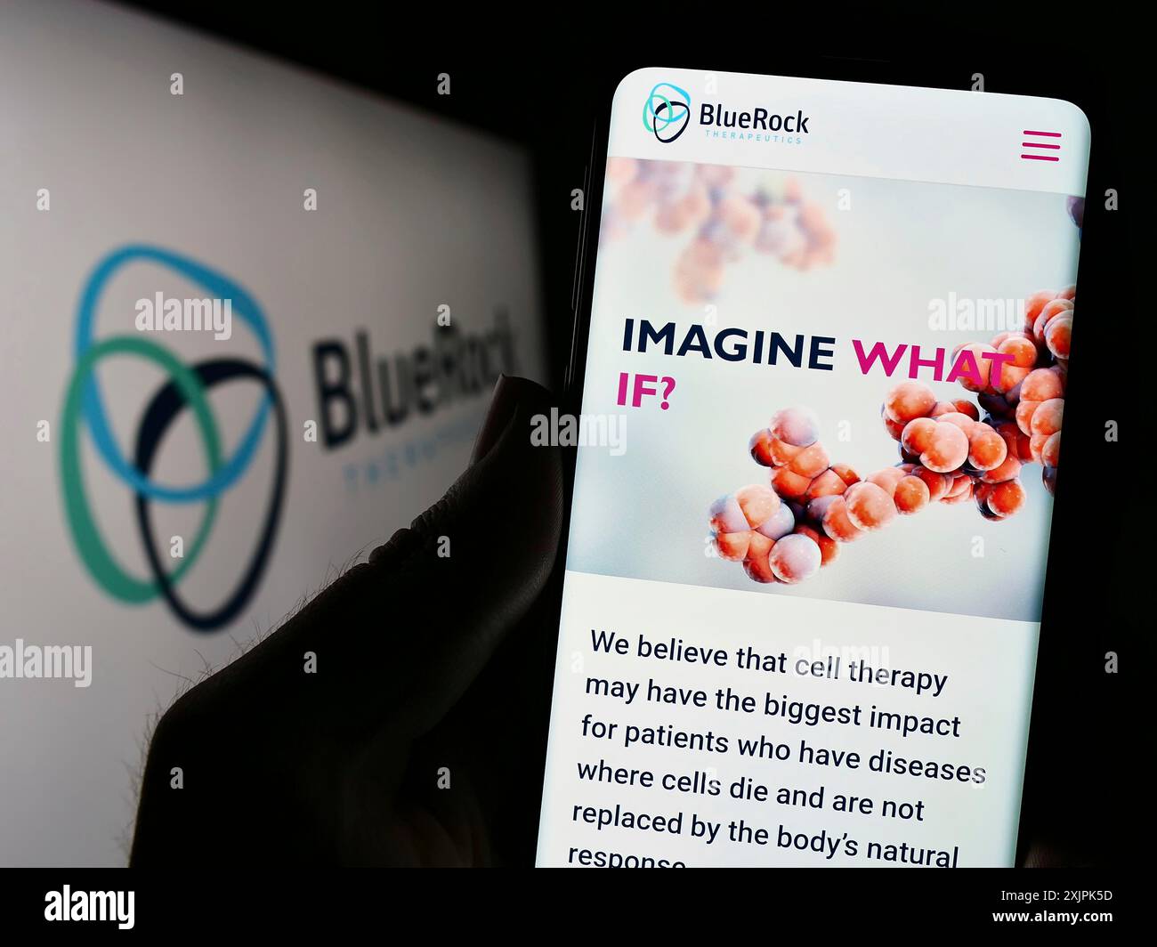 Stuttgart, Deutschland, 07-08-2023: Person, die ein Smartphone hält, mit Website des US-amerikanischen Biotechnologie-Unternehmens BlueRock Therapeutics LP auf dem Bildschirm mit Logo. Stockfoto