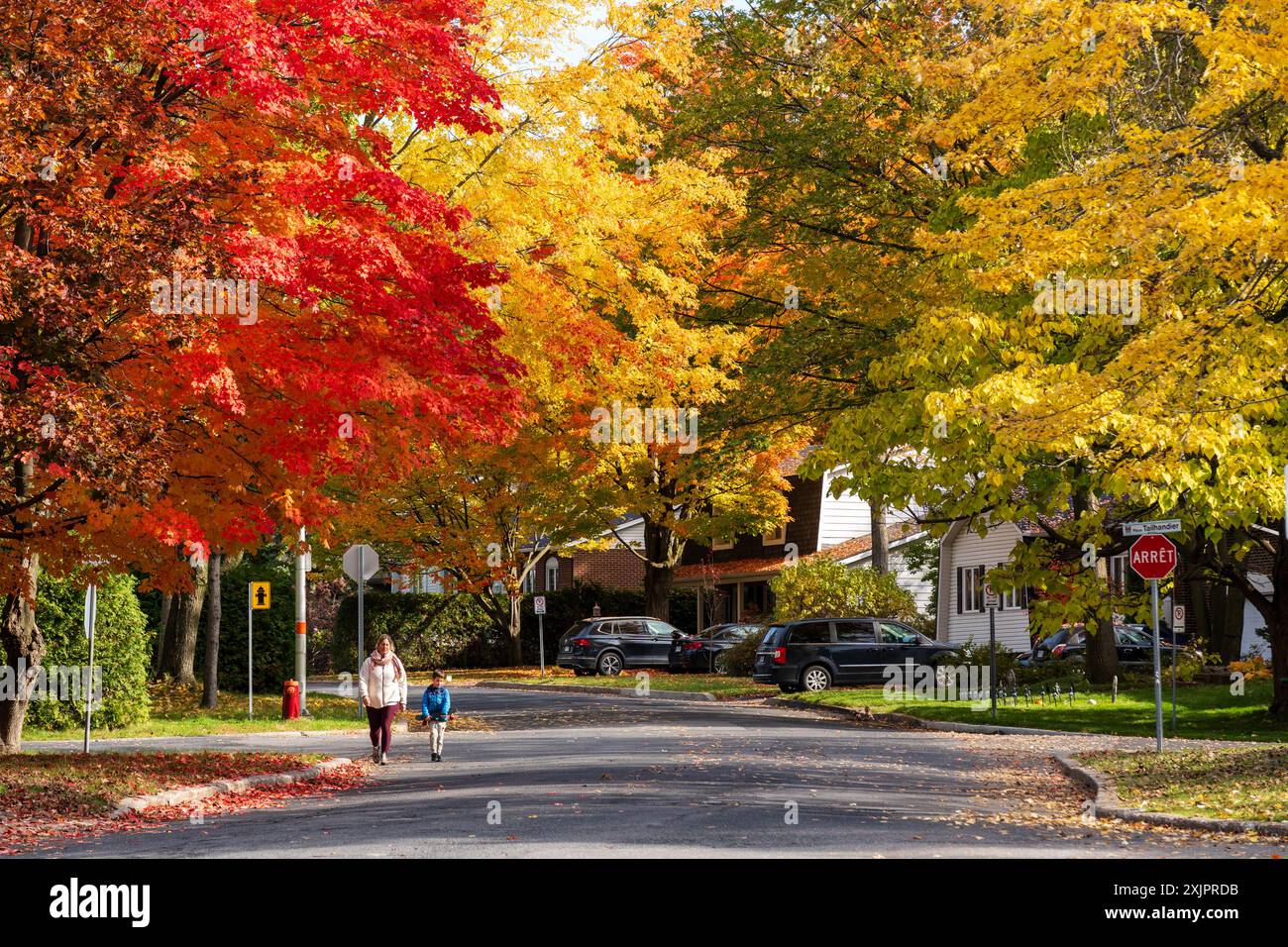 Saint-Bruno-de-Montarville Wohngebiet, Ahornrot im Herbst. Saint-Bruno-de-Montarville, Quebec, Kanada. Stockfoto