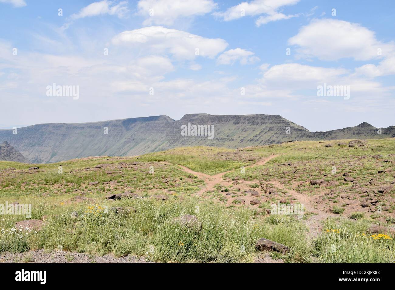 Kiger Gorge, eine der dramatischen Landschaften der Steens Mountain Wilderness Area, Harney County, Oregon, USA. Stockfoto