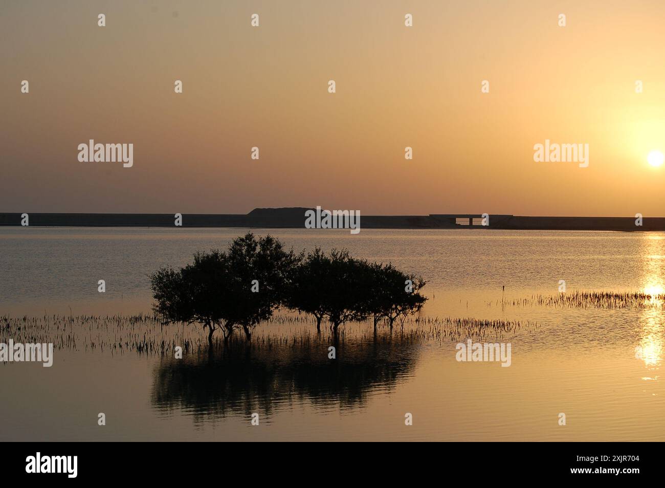 Ein leuchtend orangener Sonnenuntergang über Mangroven und dem Arabischen Golf auf der Insel Sir Bani Yas, Al Gharbia, Vereinigte Arabische Emirate (März 2010). Stockfoto