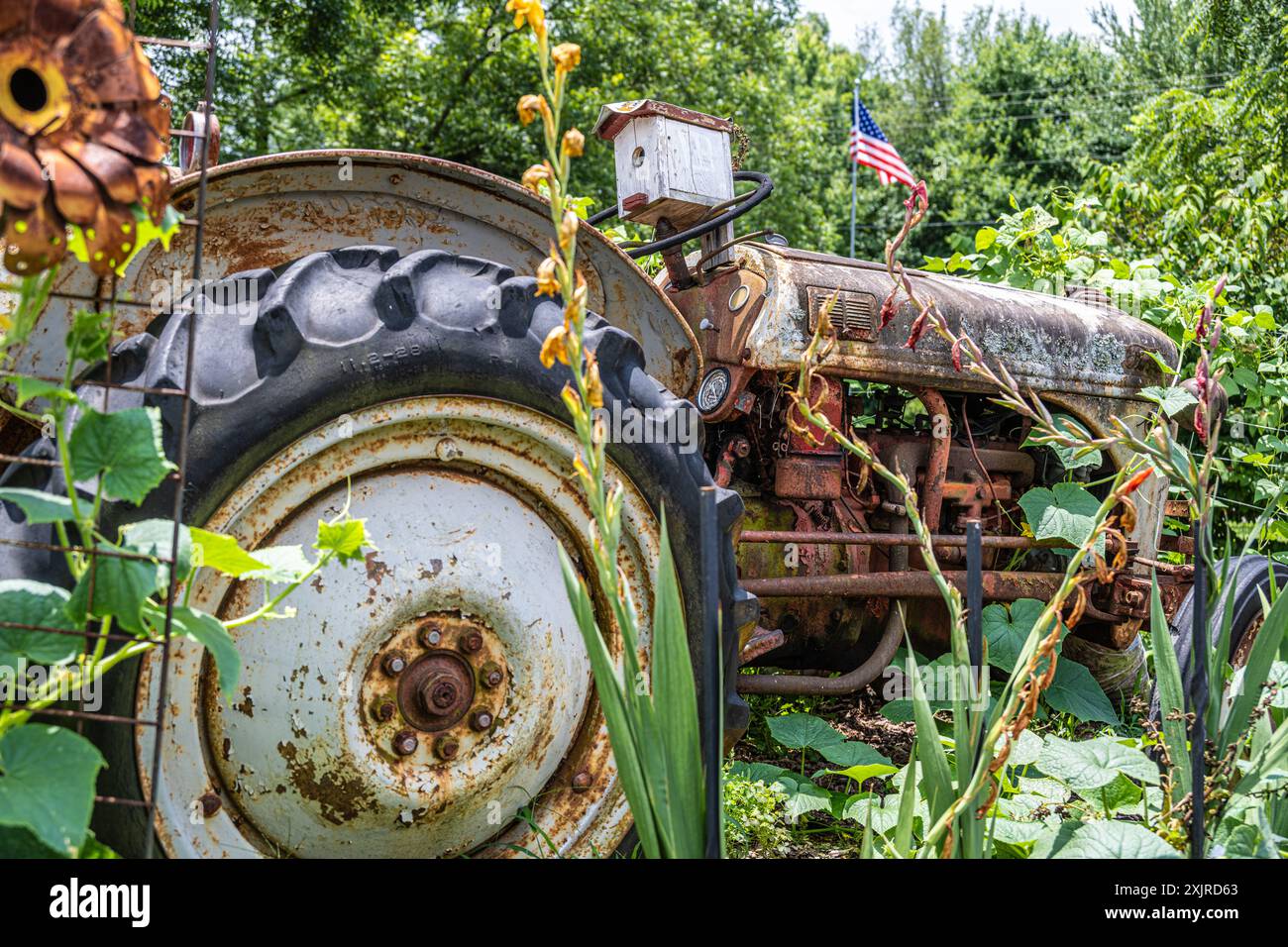 Vintage-Traktor mit Vogelhaus bei Crazy Mule Art & Antiques in Lula, Georgia. (USA) Stockfoto