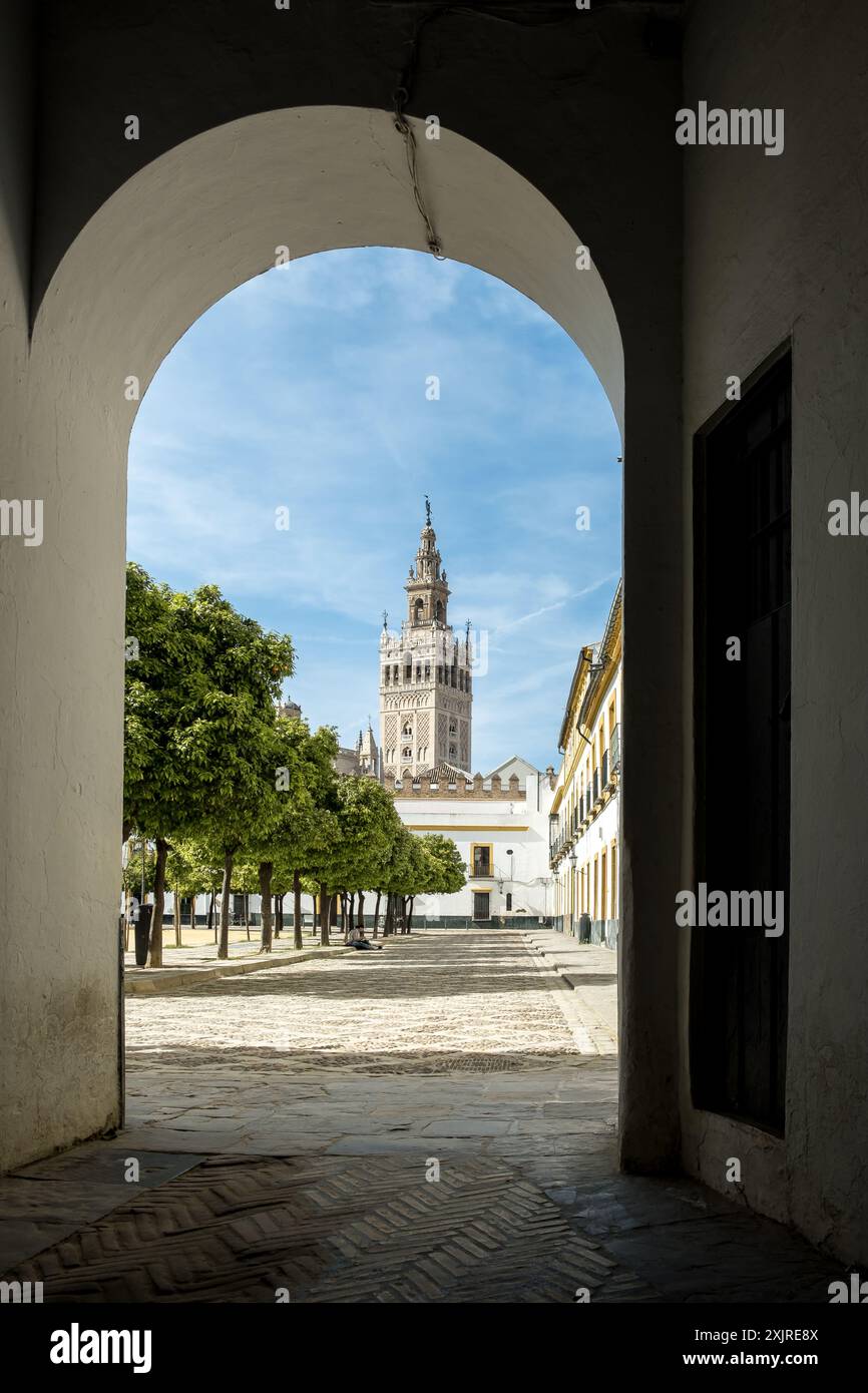 Blick auf das historische Zentrum von Sevilla vom Patio de Banderas, der sich innerhalb der Mauern des Alcázar von Sevilla befindet. Im Hintergrund die Giralda. Stockfoto