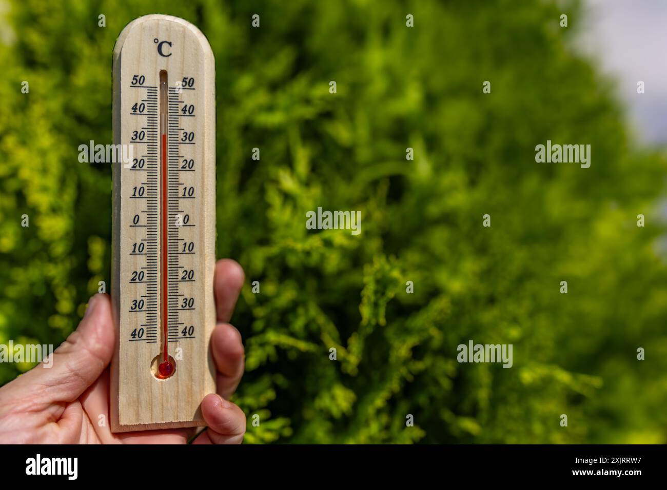 Ein Mann hält im Garten ein Holzthermometer in der Hand, das eine sehr hohe Temperatur anzeigt - Schutz vor Hitze Stockfoto