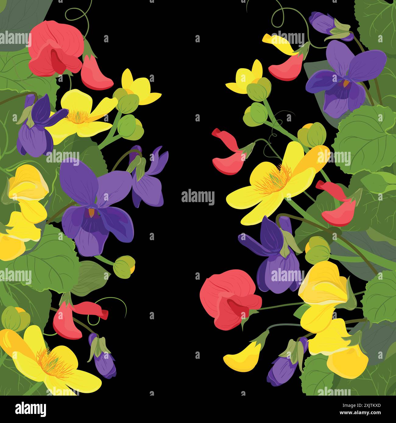 Vektor-Wildblumen. Violett, Sumpfblume, Süße Erbse. Kräuter, krautige blühende Pflanzen, auf schwarzem Hintergrund. Stock Vektor