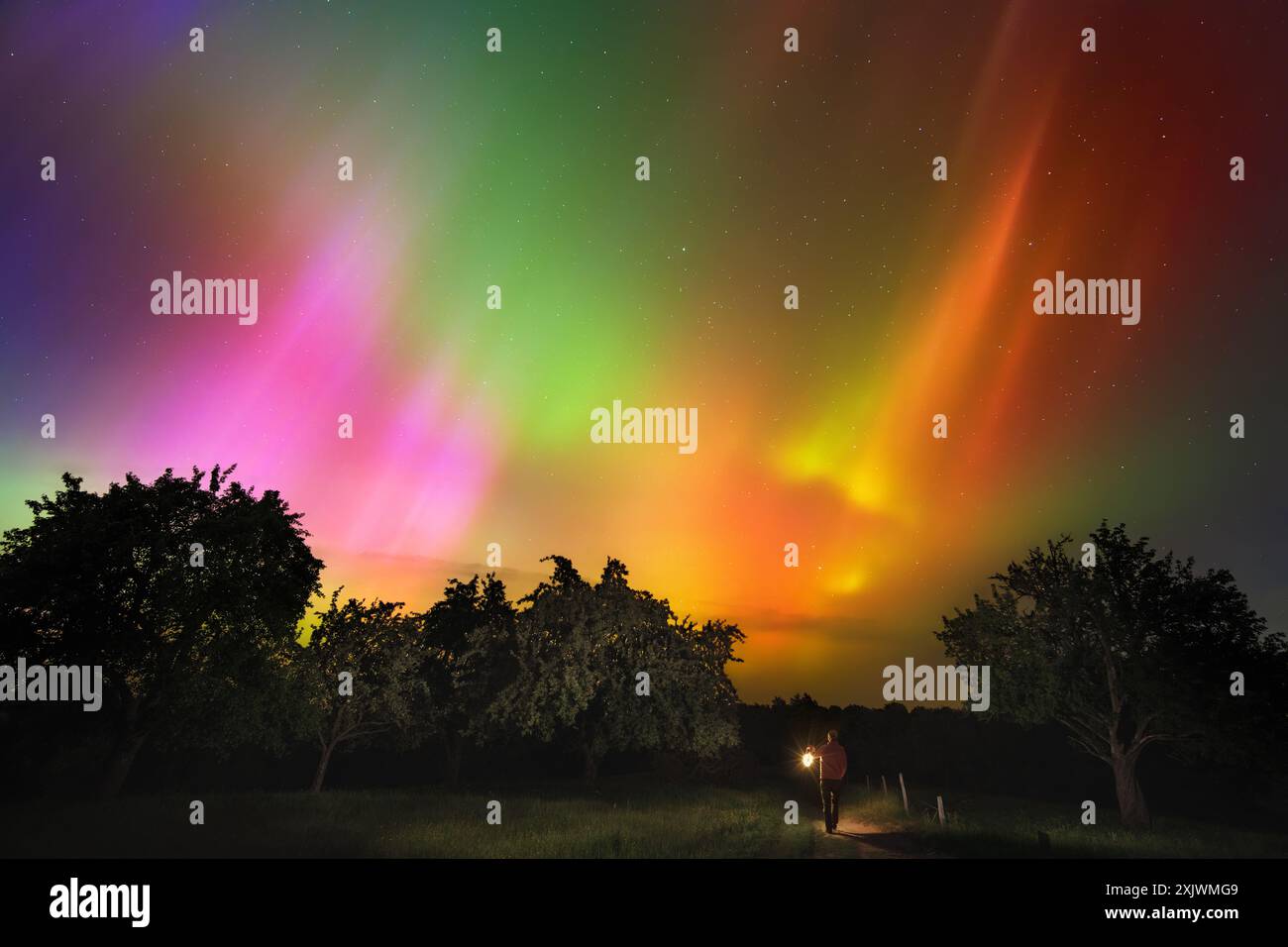 Spaziergang mit einer Laterne unter faszinierenden Nordlichtern über Mitteleuropa. Leuchtende Aurora Borealis in Pink, Grün, Orange und Gelb. Stockfoto
