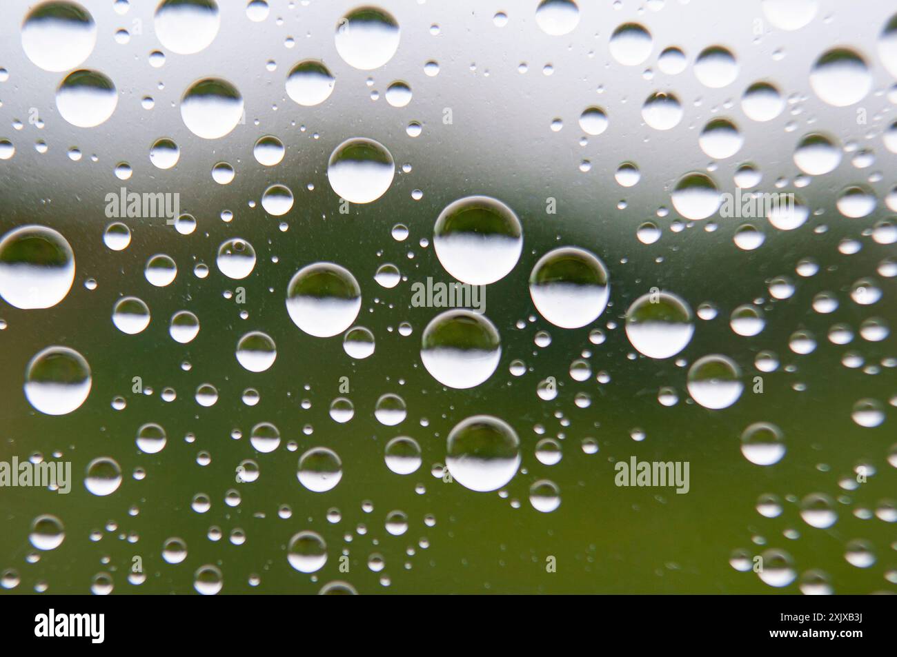 Gerader Blick auf Wassertröpfchen auf klarem Glas auf verschwommenem Naturhintergrund. Geeignet für Design und Tapeten Stockfoto