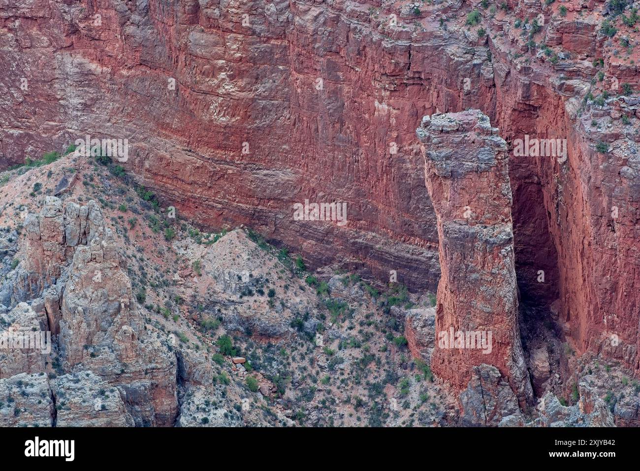 Erodierende rote Sandsteinwand im Grand Canyon Stockfoto