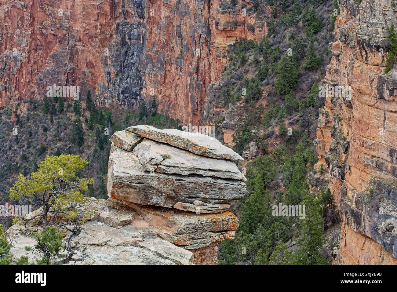 Verwitterte Felsvorsprünge ragen in Richtung der Schluchtwand des Grand Canyon Stockfoto