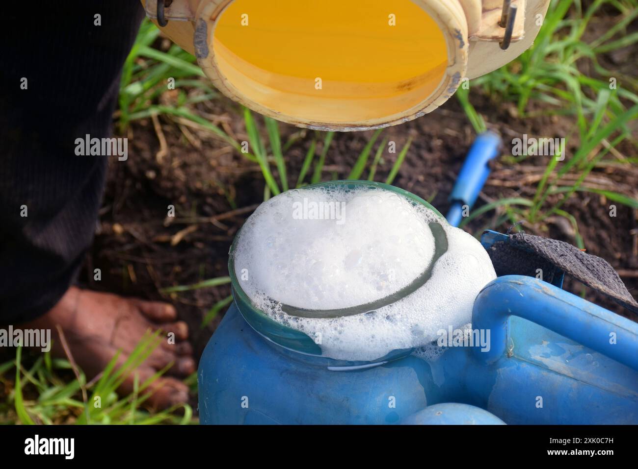 Ein Landwirt, der Herbizide und Chemikalien in einen Behälter auf grünem Feld gießt, kommt Schaum aus dem Behälter Stockfoto