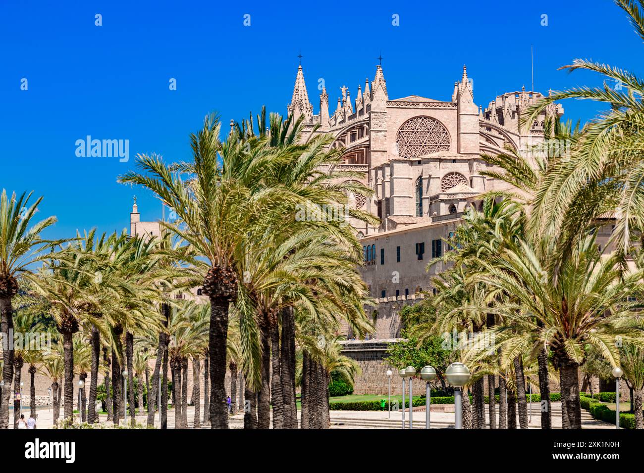 Kathedrale La Seu in Palma de Mallorca mit Parc de la Mar Stockfoto