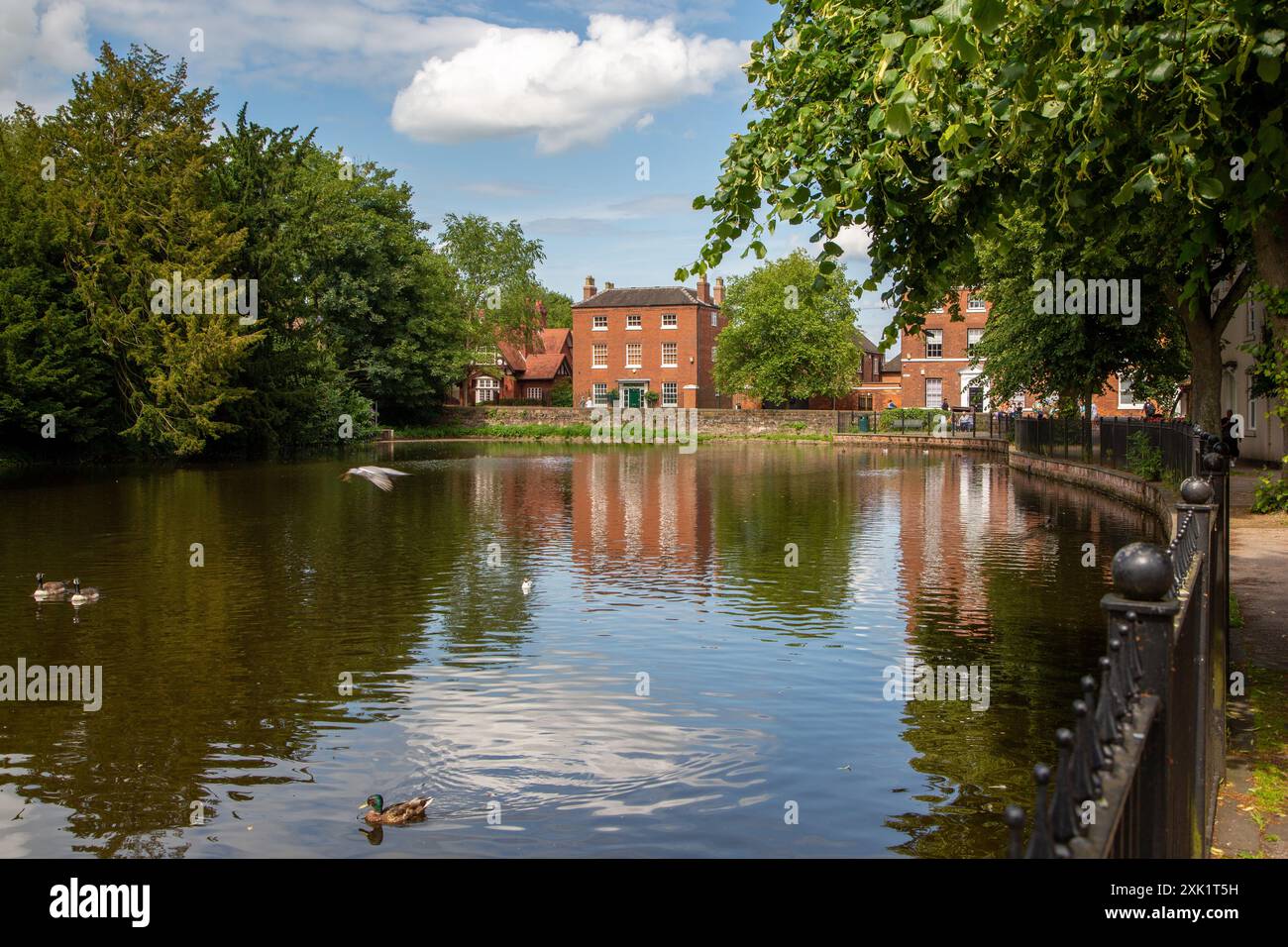 Das Minster Pool in der Stadt Staffordshire in Lichfield England Stockfoto