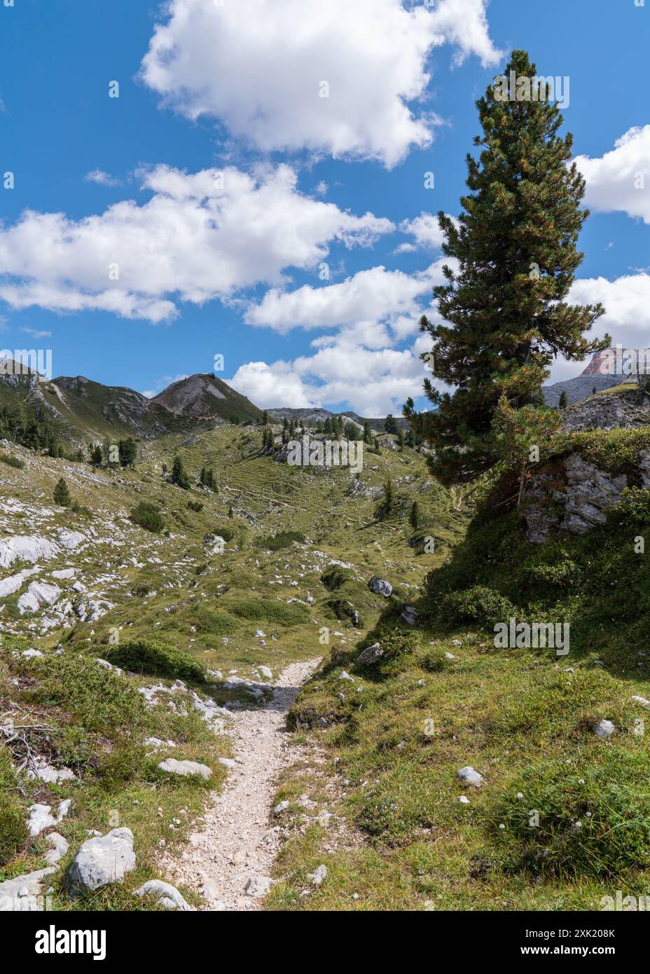 Hohe Felsen. Alpen in Italien. Südtirol. Dolomiten. Grüne Landschaft mit Steinen und Bäumen. Wege in den Bergen. Reisen. Touristenattraktionen. Wunderschön na Stockfoto