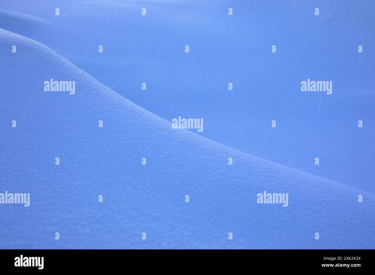Dieses Bild zeigt die sanften und glatten Wellen einer schneebedeckten Landschaft in Lofoten, Norwegen, mit einem ruhigen Blauton und sanften Texturen Stockfoto
