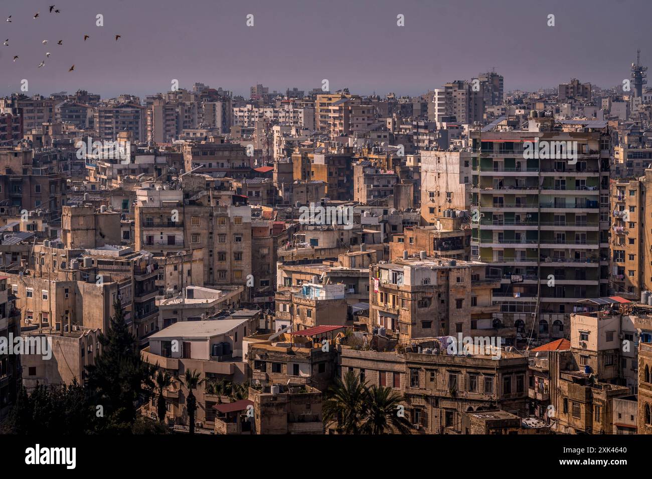 Das Luftpanorama von Tripolis, der Stadt im nördlichen Libanon, im Nahen Osten. Stockfoto