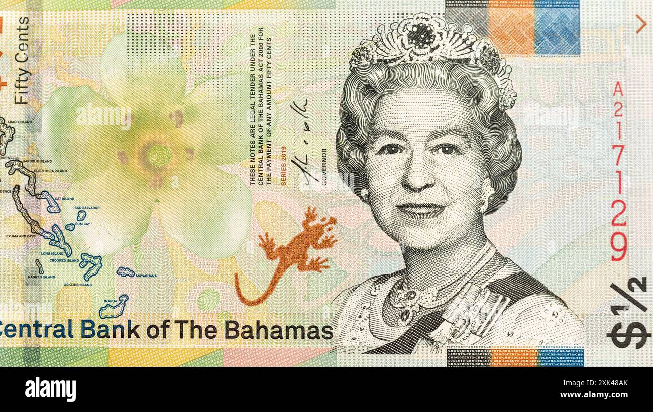 Detaillierte Ansicht der bahamaischen 50-Cent-Banknote mit Queen Elizabeth II Porträt Stockfoto