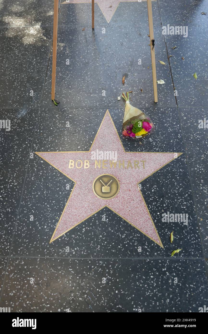 Los Angeles, Kalifornien, USA 19. Juli 2024 Comedian Bob Newhart Hollywood Walk of Fame Star with Memorial Flowers on Hollywood Blvd am 19. Juli 2024 in Los Angeles, Kalifornien, USA. Foto: Barry King/Alamy Stock Photo Stockfoto