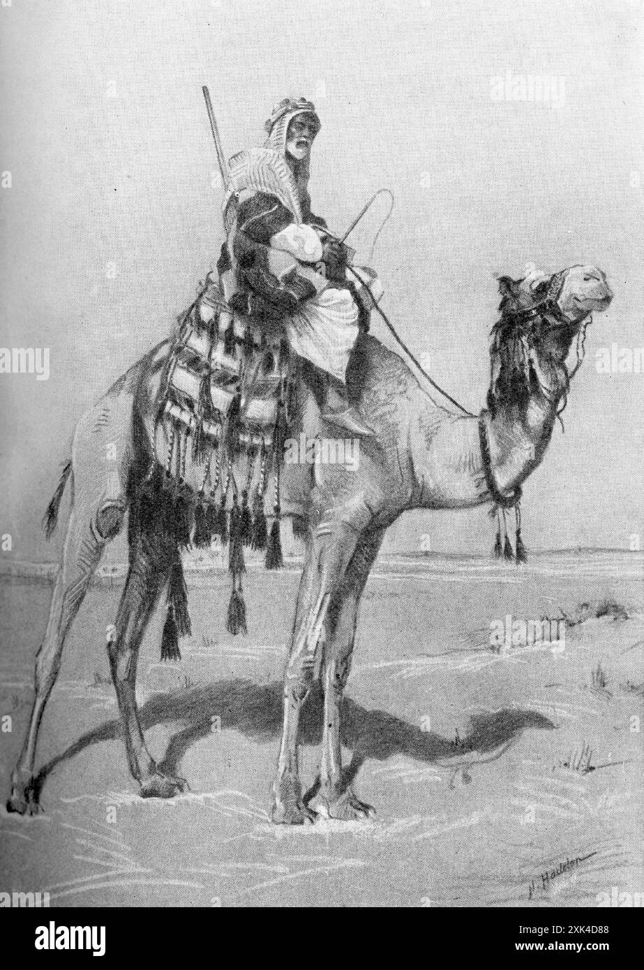 Halbton eines arabischen Stammes, der auf einem Kamel durch die Wüste reist, veröffentlicht im Windsor-Magazin 1914 Stockfoto