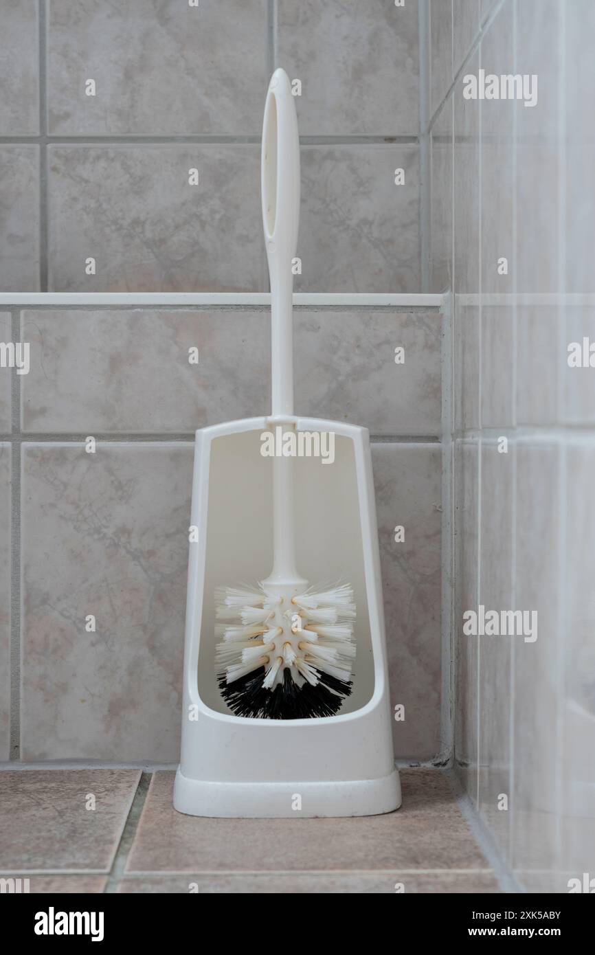Toilettenbürste im Badezimmer Stockfoto